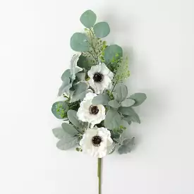 Anemone Silvery Spray