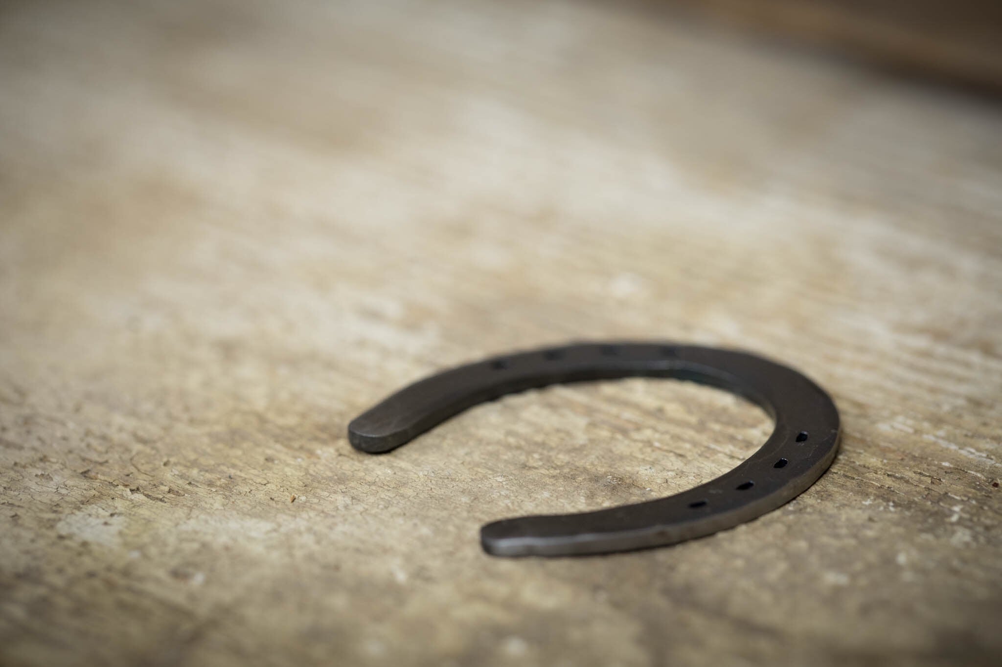 Hand Forged Lucky Horseshoe Ball Mark - Steel